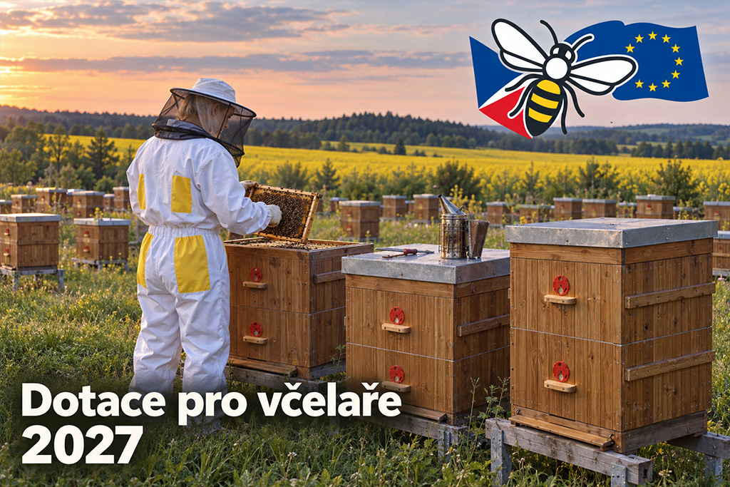 Včelařka drží rámek nad úly na včelnici v podvečerním světle
