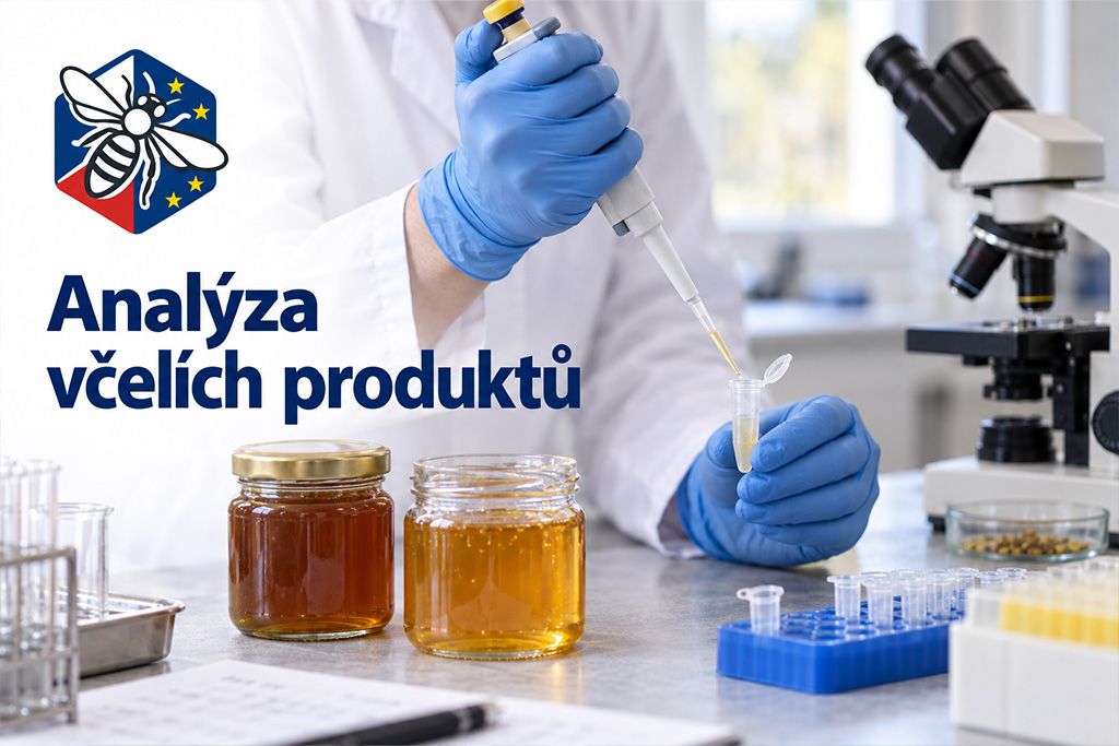 Laboratorní pracovnice v modrých rukavicích analyzuje včelí produkty u mikroskopu vedle sklenic medu